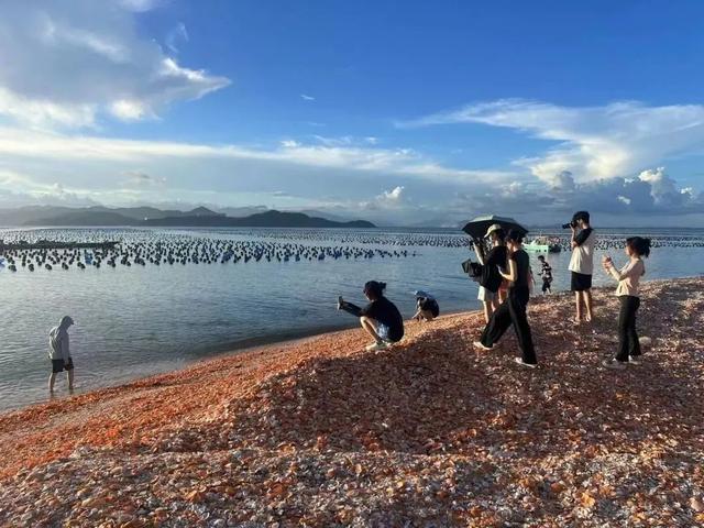 我想离开浪浪山......到“天选打band人”的“浪浪海”看一下！