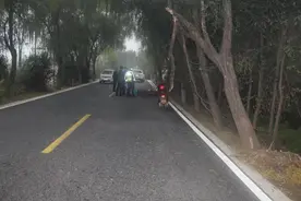 天降横祸女子不幸身亡！交警：死者主责图片