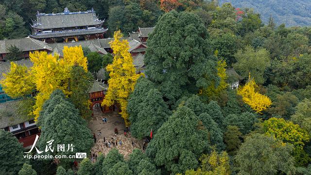 四川都江堰：青城山景区秋色美如画