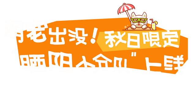 闵行的晚秋，太温柔