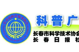 蒸吃水果有门道图片