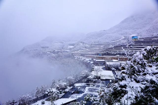 等来了！白河入冬第一场雪，竟藏着这样的景致