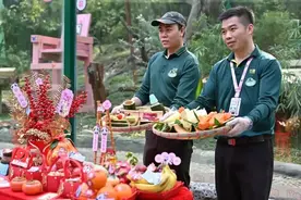 广州大熊猫“妹猪”乔迁，动物朋友组团“随份子”→图片