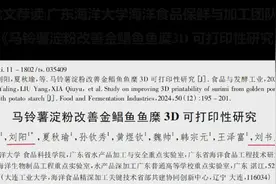 揭秘！鱼糜遇上马铃薯淀粉，3D打印美食新纪元？图片
