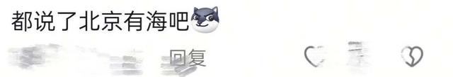 “都说了北京有海吧！”颐和园昆明湖水面被大风吹出“海浪”，网友：豆汁开锅了吗？