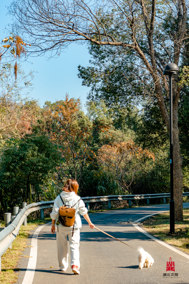 抓住晴天尾巴，徒步青龙山！