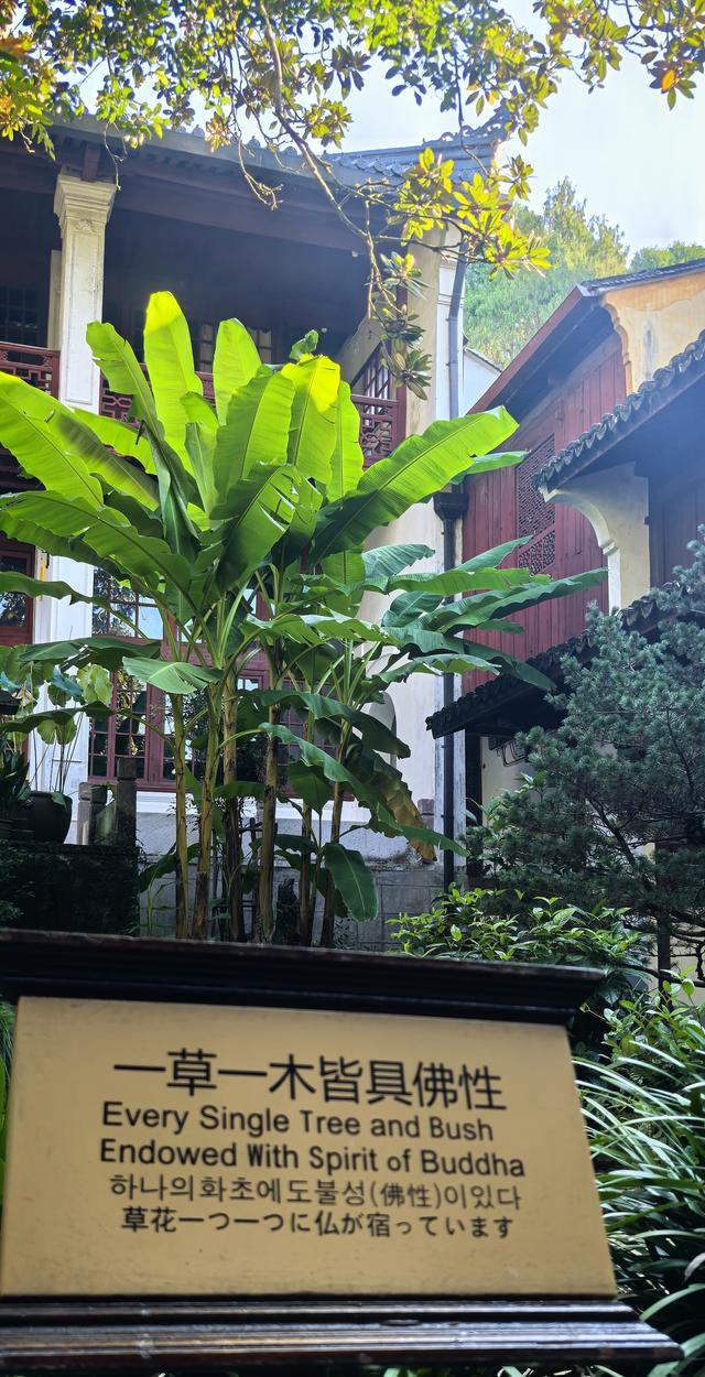 晚潮｜云散日朗，俱有喜态——天台山寻幽访圣之旅