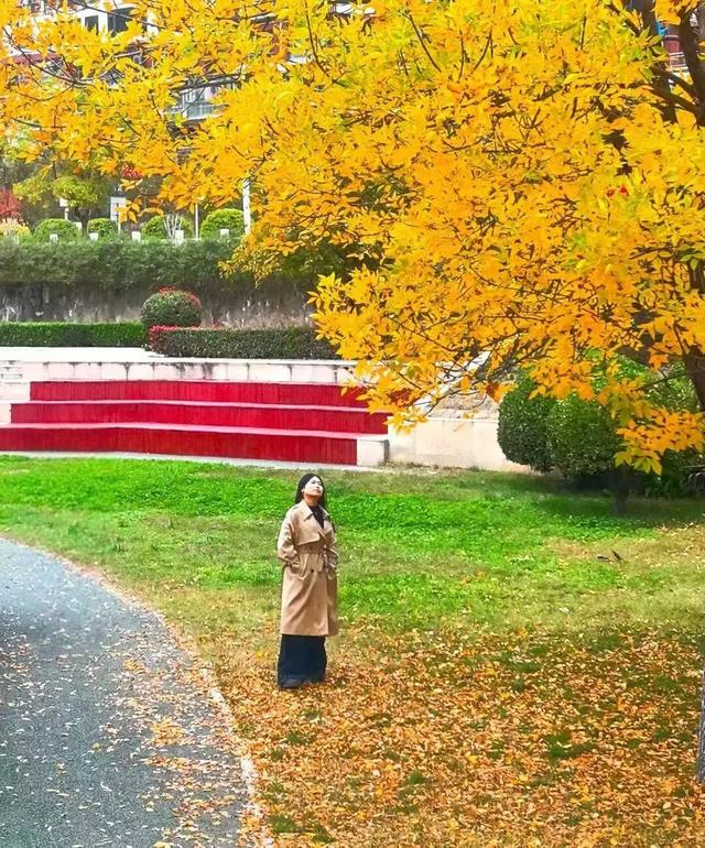 秋天的陇南，有什么好看的？