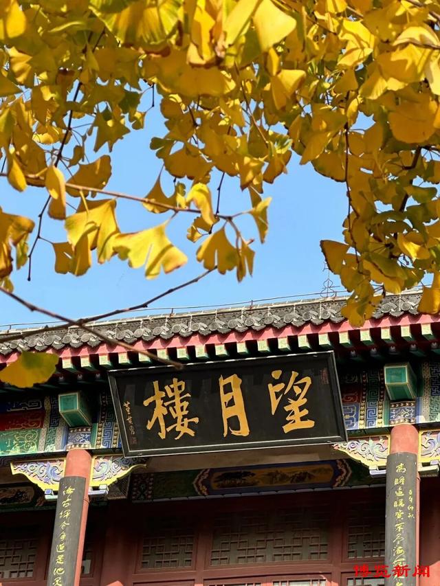 淄博4条主题旅游线路，藏着超多惊喜玩法，快来打卡！