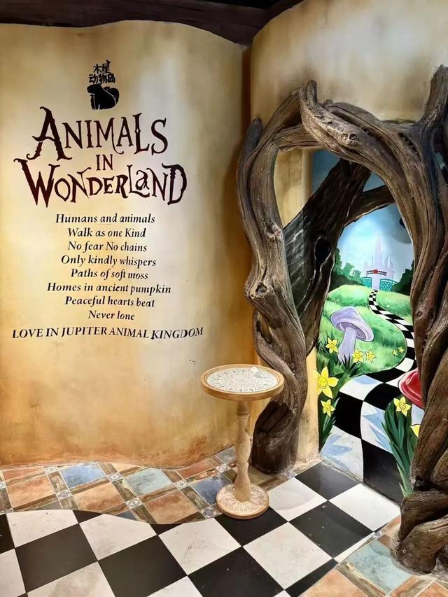 域见上海 域见长宁｜长宁“超级折扣”来了，吃喝住行这波惊喜福利别错过！