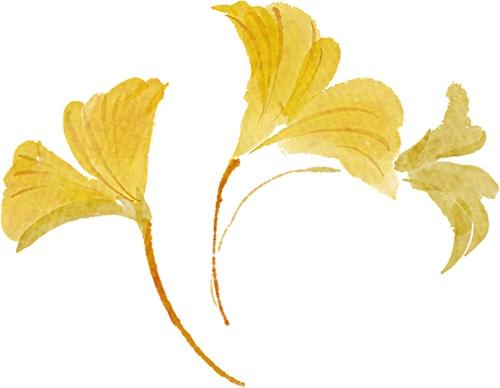 北京的秋日浓度正在拉满！这次把浪漫铺到了眼前