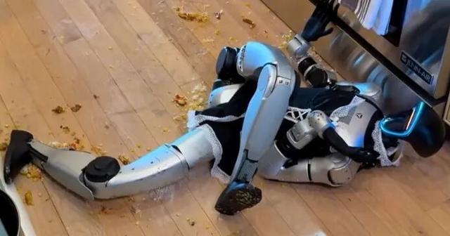 人形机器人的2025：离“进家门”还有多远？