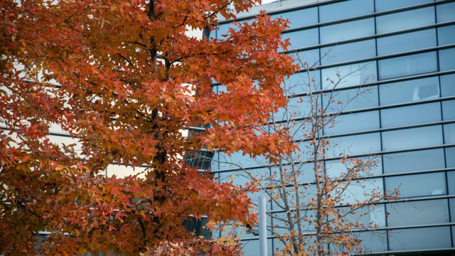 余杭初冬藏不住！这些秘境绝美~