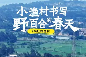 热门综艺也来这取景！小渔村书写“野百合的春天”图片