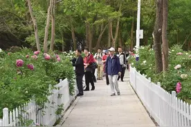 省市联动擘画生态新篇 南北两山新绿涌动图片