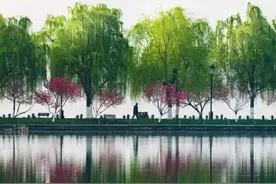 今起 杭州西湖景区停车收费有调整图片