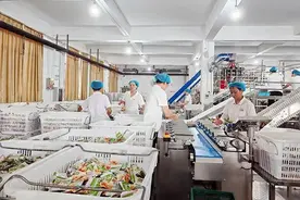 农业强市，荆州打造新时代鱼米之乡丨封面策划④图片