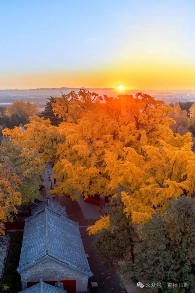 大胆预测！这个周末，日照这里将要爆满！