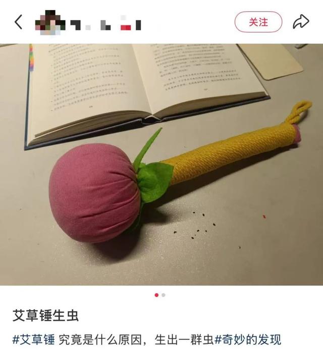 会飞、会爬，不少人家中出现！提醒：发现请立刻扔掉