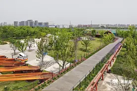 上海有公园官宣露营“新规”，杭州会跟进吗？已经有公园发出倡议：无痕露营图片