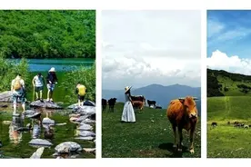 蜀里清凉·夏日旅行季 | 越西这个宝藏小城，正适合避暑小住几天！图片