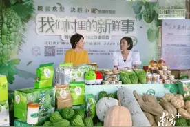 江门网红凉瓜村有位“80后”女头雁图片