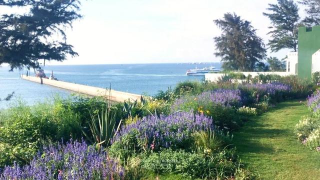 无限暖意！广西发布6条“康养旅居 冬游广西”系列精品线路