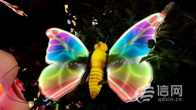 青岛世博园光影盛宴持续升温 奇幻夜游等你来打卡