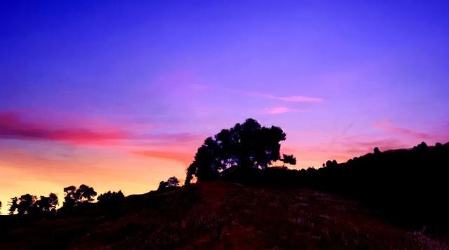 【冬季暖阳 凉山不凉】这一刻，是越西的高级感！