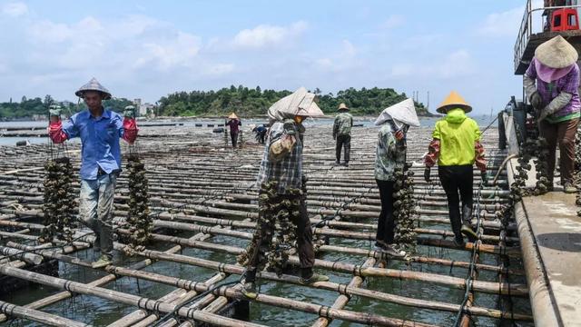 新华社携手董宇辉，走进广西的蔚蓝海岸……