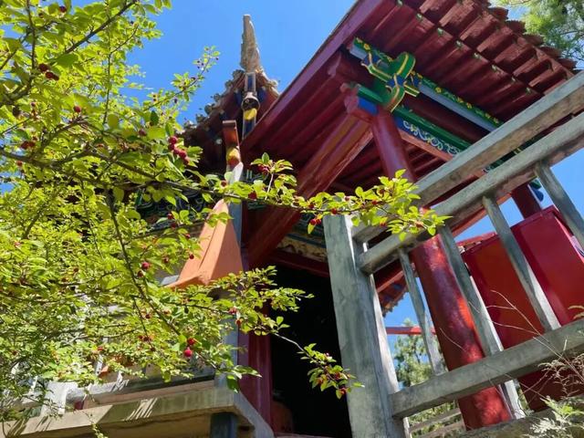 首阳山旅游攻略