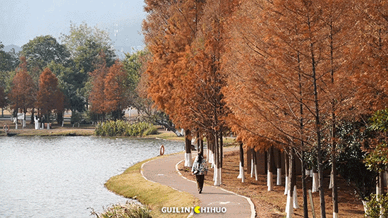 在桂林过大雪：暖汤、红柿、碧水…藏着南方冬日最惊艳的色彩