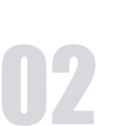 看！是合肥的树！