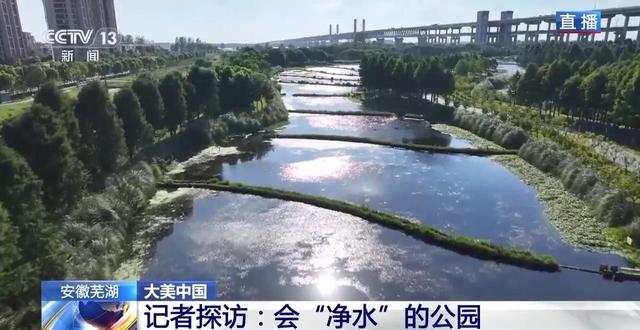尾水湿地变成生态公园？记者探访芜湖这座会“净水”的公园