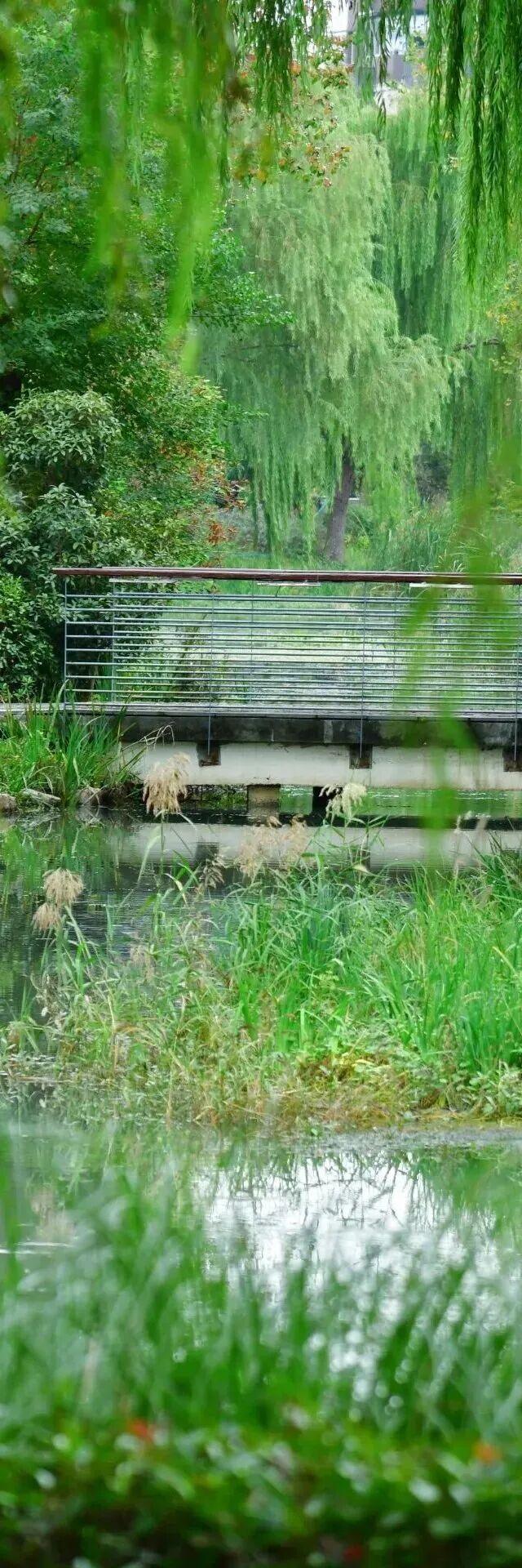 四季流转，青浦这座公园的颜值从来不掉线！