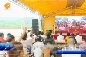 “菠萝王”卖出千元价 南安东田菠萝节火爆举行图片