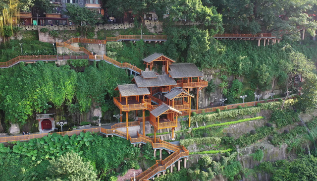 央媒看重庆｜重庆又一条步道火了，8D山城步道为何让人着迷？