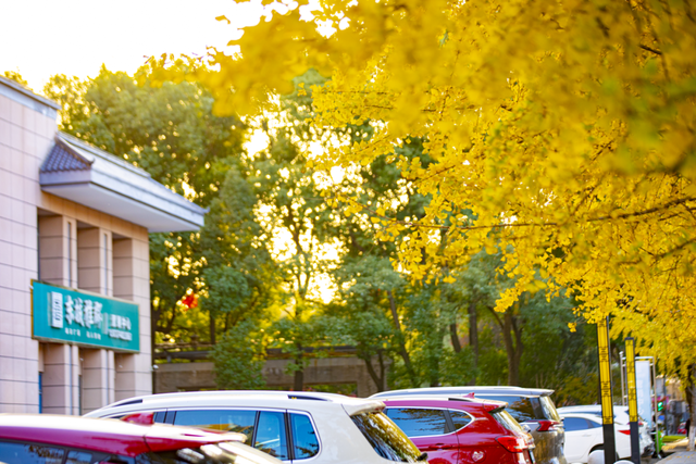 金灿灿！宜都限定美景上线！