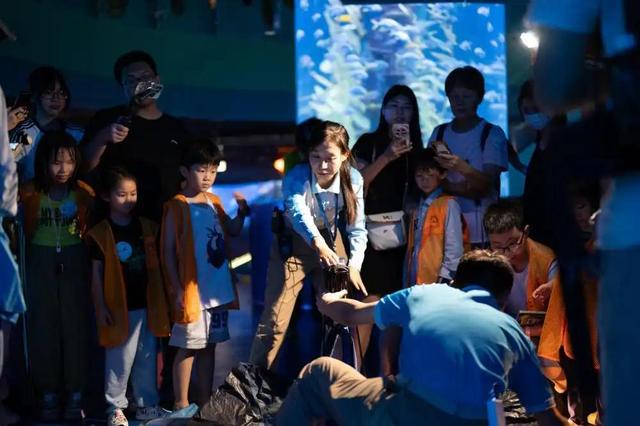 广州动物园首推“海陆空一夜营”，揭秘你没见过的动物王国