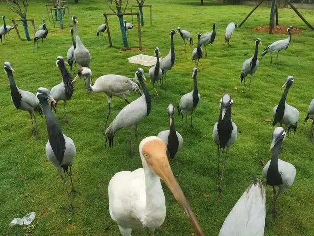 鄱阳湖“轻游”手册，松弛感拿捏～