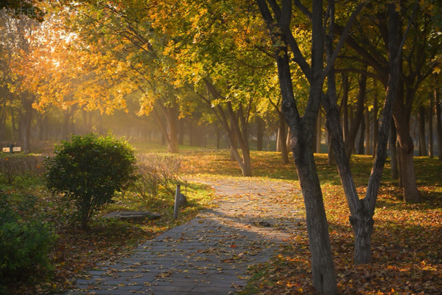 美绝！西安初冬的含金量还在上升！