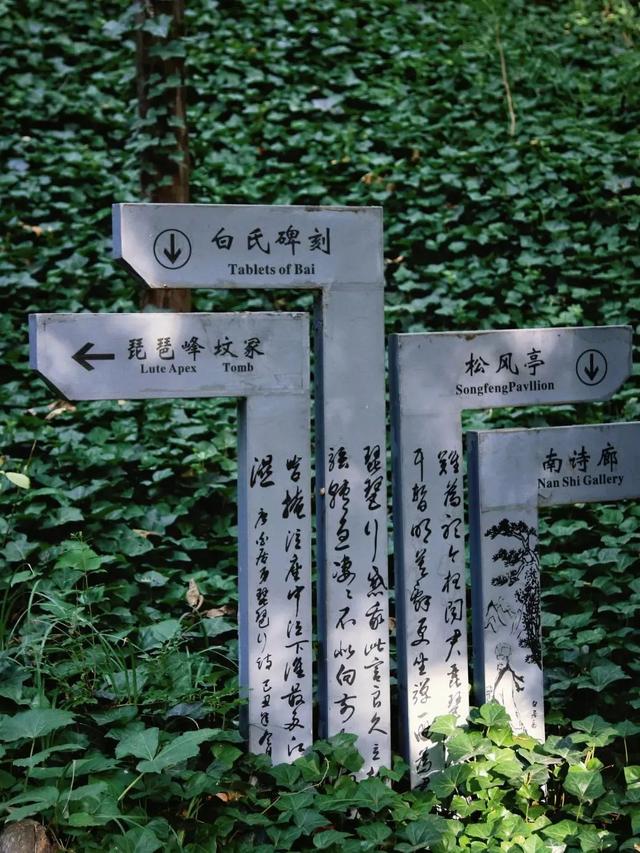 龙门石窟旅游攻略，看这一篇就够了！