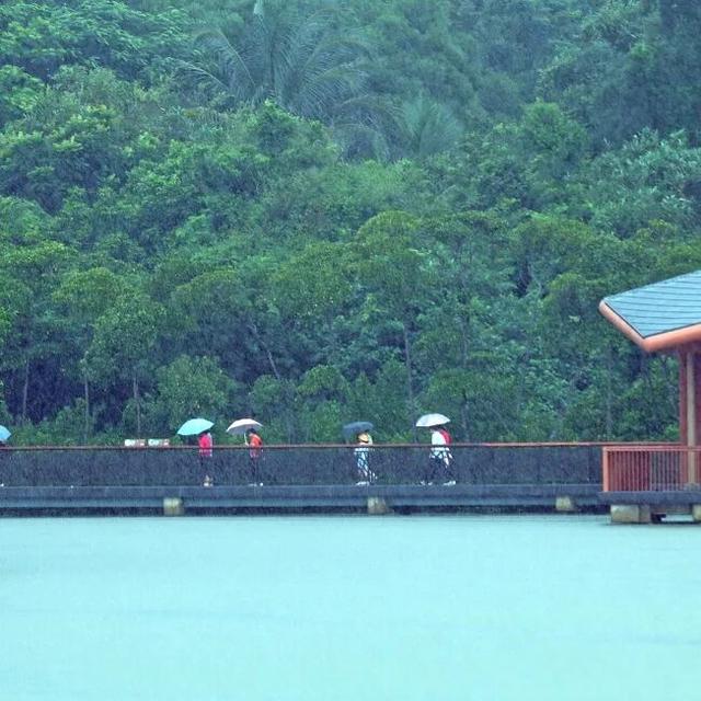 海口东寨港红树林旅游区荣膺“2025海口十大最美婚拍基地”