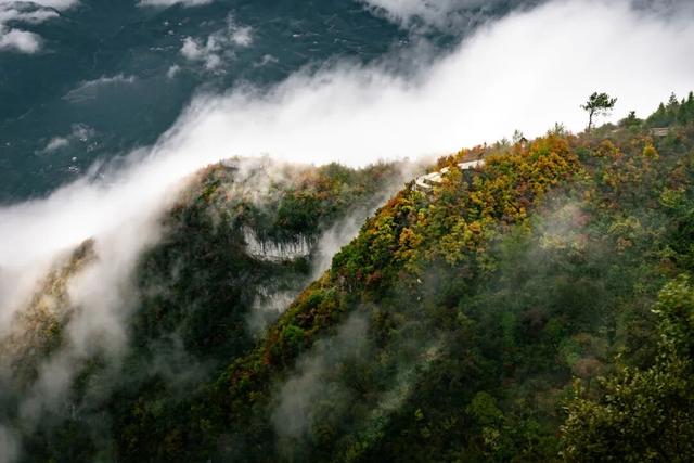 巫峡红透时，才懂中国秋天的壮阔
