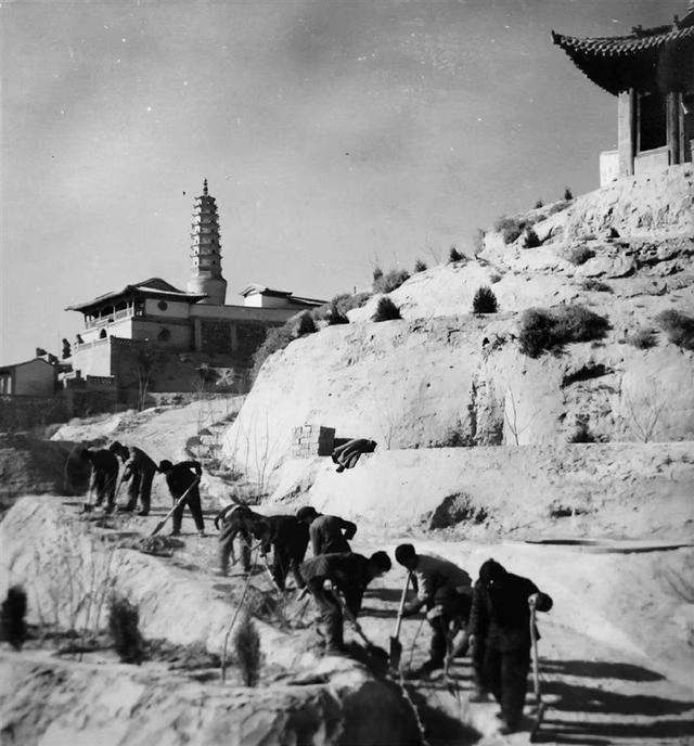 南北两山披绿装 黄河之滨展新颜