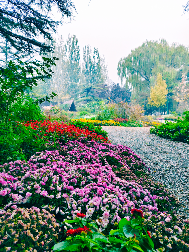 步步皆斑斓，解锁京城秋日诗意