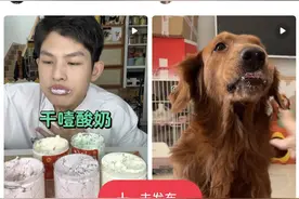 “浓缩是精华”干噎酸奶更健康？提醒：热量并不低，自制风险大| 扬子懂健康图片