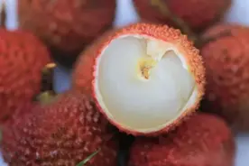 【鲜荔枝预售】作为一名中国人，你可能没吃过真正好吃的荔枝！图片