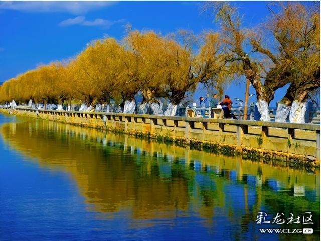 昆明小众人少看滇池喂海鸥的宝藏打卡地