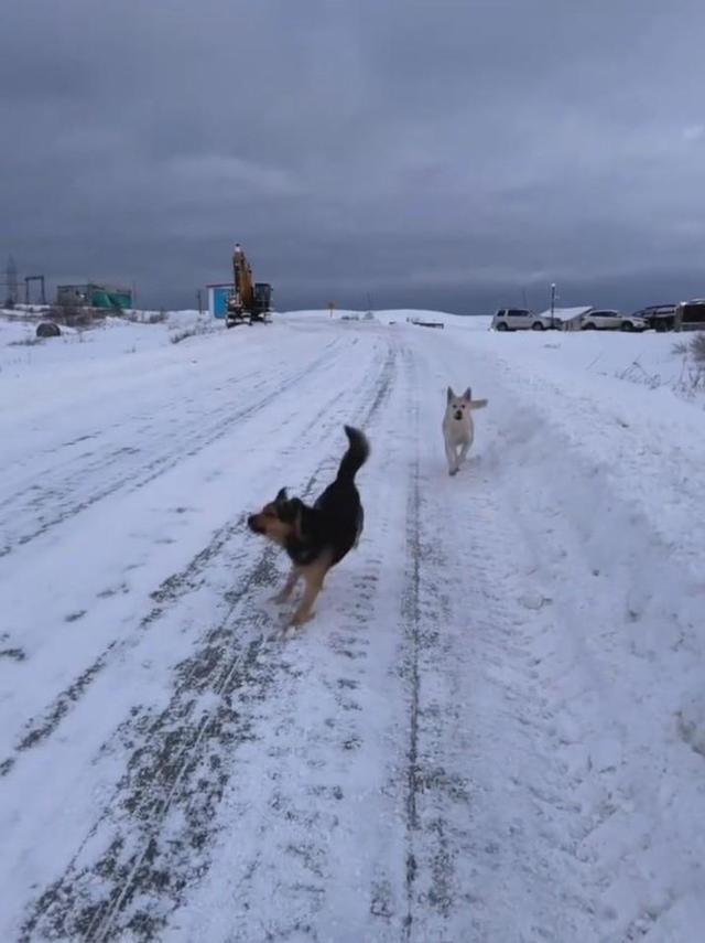 俄罗斯免签后的首批中国游客：被“网络静默期”弄得措手不及，携带充足现金应对支付不便